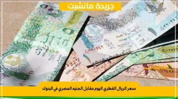 سعر الريال القطري اليوم مقابل الجنيه المصري في البنوك 